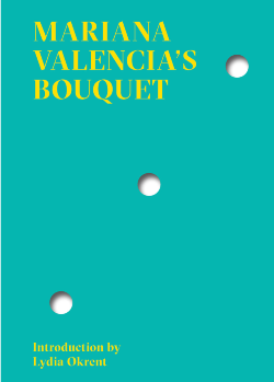 an aqua book cover with three holes in it, and yellow text with the title